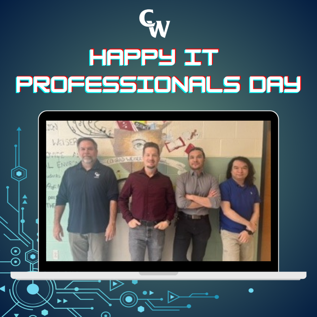 IT Professionals Day
