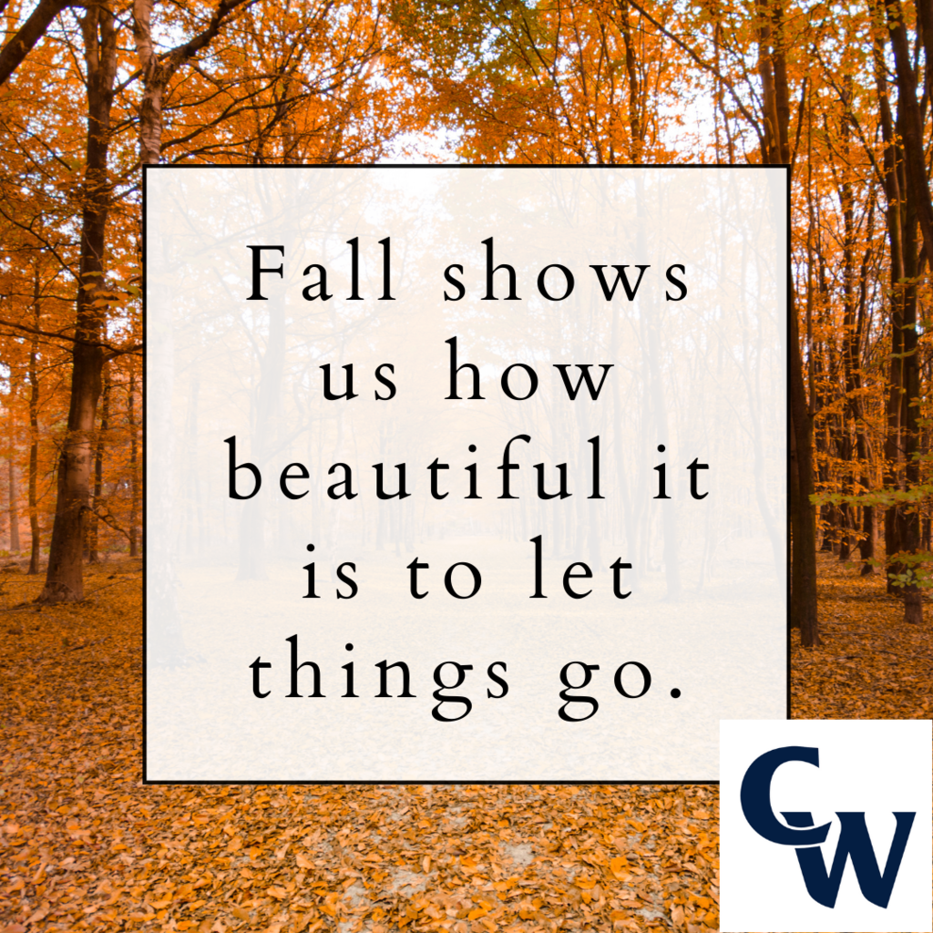 fall shows us how beautiful it is to let things go
